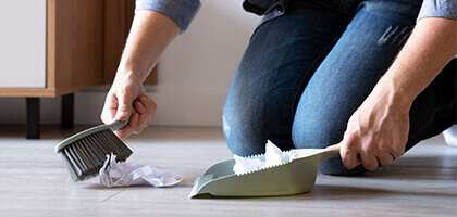 Professional Cleaning Team