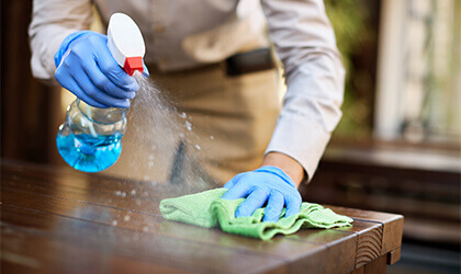 Professional Cleaning Team