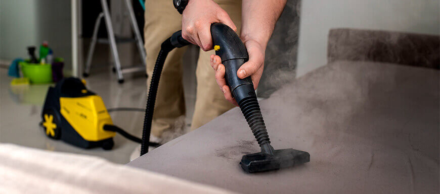 Male Professional Cleaner